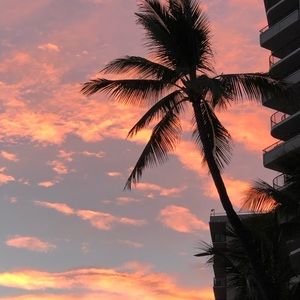 Meet your Posher, Paulette